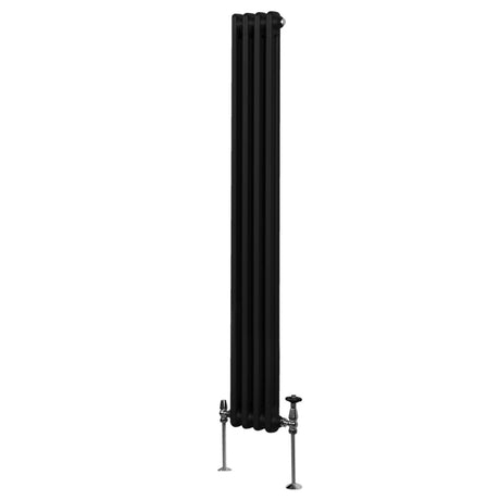 Traditioneller 2-Spalten-Heizkörper in elegantem Schwarz, 1800 x 202 mm, mit glatten, vertikalen Linien und stabilen Füßen aus Metall