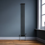 Traditioneller 2-Spalten-Heizkörper in Schwarz, 1800 x 202 mm, mit glatten, runden Rohren und eleganten Füßen, vor einer grauen Wand und Holzfußboden