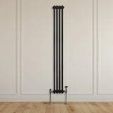 Traditioneller 2-Spalten-Heizkörper in Schwarz, 1800 x 202 mm, mit elegantem, vertikalem Design und robusten Metallrohren, ideal für moderne Räume