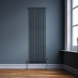 Traditioneller 2-Spalten-Heizkörper in Anthrazitgrau, 1800 x 472 mm, vertikale Röhren, glänzende Oberfläche, elegant in modernem Raum mit Holzfußboden