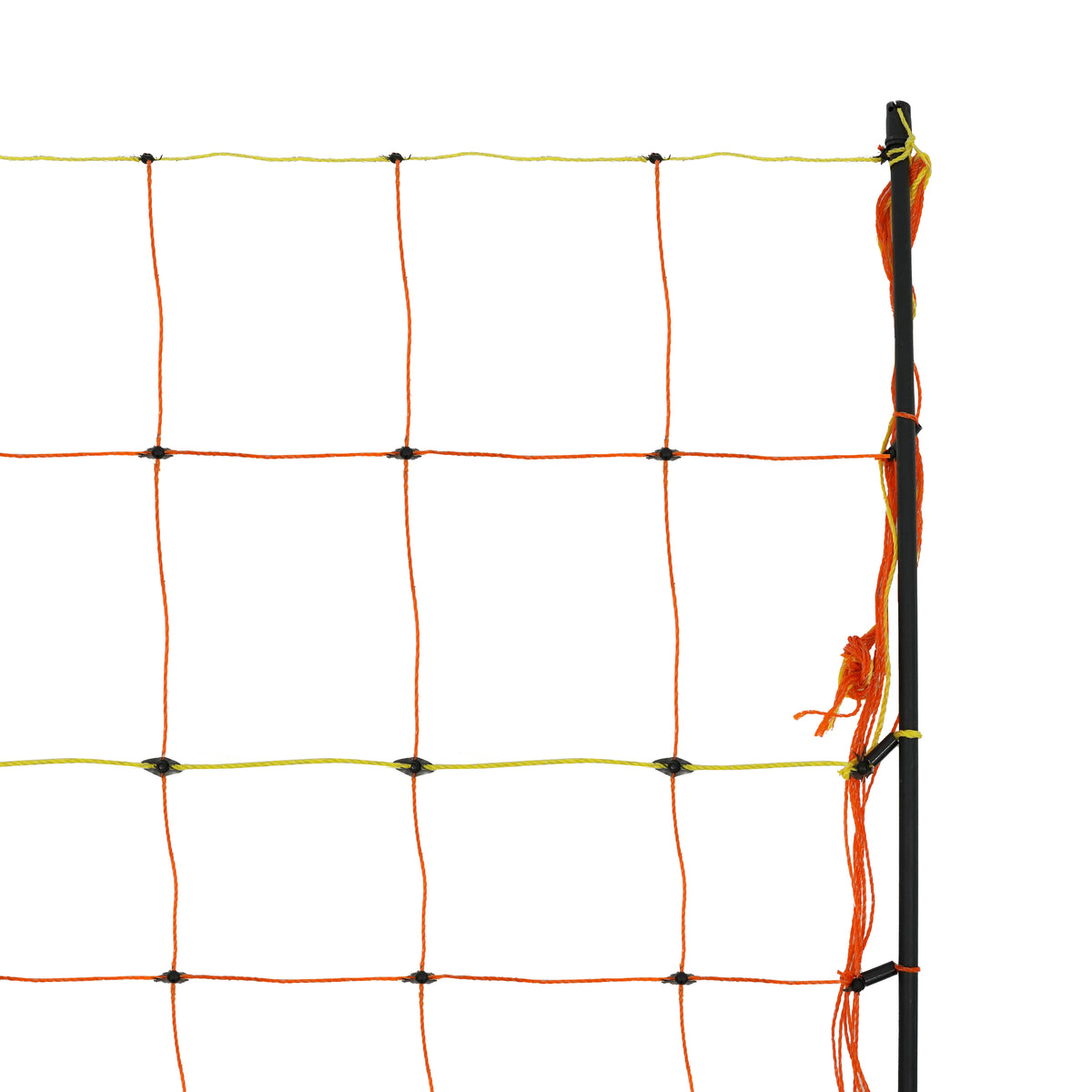 Elektrisches Geflügelnetz in leuchtendem Orange und Gelb, aus robustem Kunststoff, mit stabilen schwarzen Pfosten und gleichmäßigen Maschen für sicheren Schutz