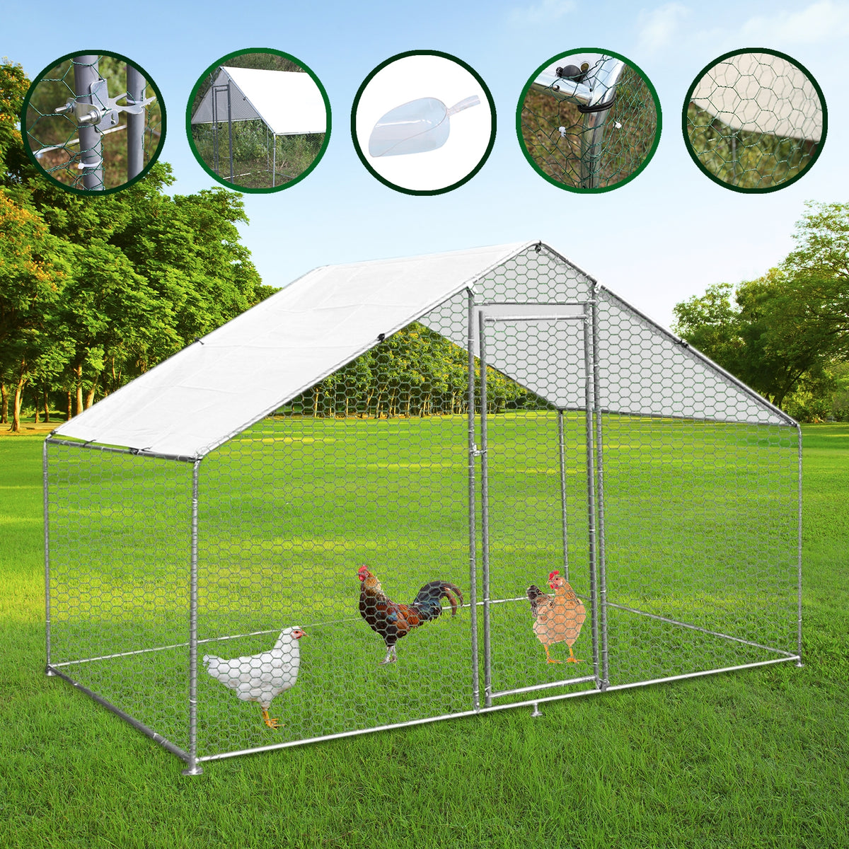 Hühnerfreilaufgehege in den Maßen 3m x 2m x 1,8m aus verzinktem Stahl mit Netz, weißem Dach und drei Hühnern auf grünem Gras