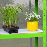 Grünes Gewächshausregal mit jungen Pflanzen in schwarzer Anzuchtschale und gelbem Blumentopf mit weißen Blumen, ideal für Gartenliebhaber
