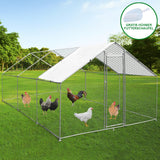 Hühnerfreilauf aus verzinktem Metall, 4m x 6m x 2m, mit einem weißen Dach, umgeben von grüner Wiese und mehreren bunten Hühnern im Inneren