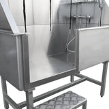 Edelstahl Haustierbadewanne mit glatter, glänzender Oberfläche, zwei Seitenwänden, einem Wasserhahn und rutschfester Fußstütze für sicheres Baden