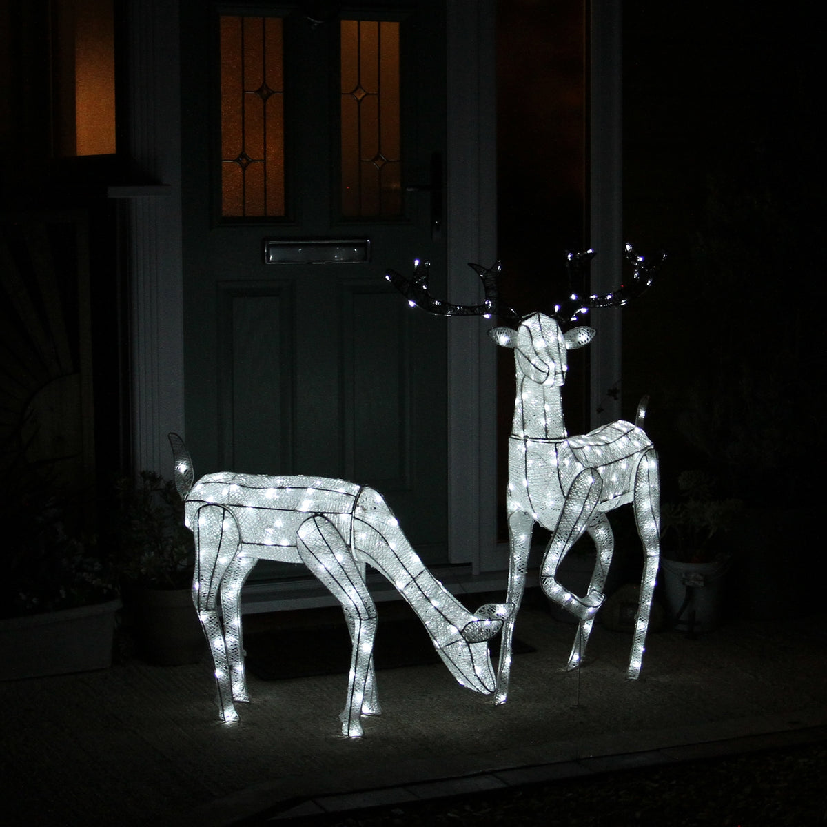 Zwei LED-beleuchtete Rentiere, ein 61 cm großes Reh und ein 1,2 m hoher Hirsch, in elegantem Weiß, mit glitzernden Lichtern, vor einer Haustür platziert