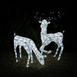 Zwei LED-beleuchtete Rentiere, ein 61 cm großes Reh und ein 1,2 m hoher Hirsch, in leuchtendem Weiß, mit glitzerndem Drahtdesign und festlichem Glanz