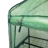 Mini-Gewächshaus mit grüner Polyethylen-Abdeckung, stabilen Metallregalen und Netzstruktur, ideal für Pflanzenzucht und Gartenprojekte