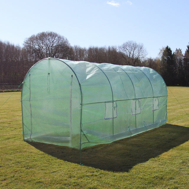 Transparenter Polytunnel aus 19mm dickem Material, 5m x 2m groß, mit mehreren Belüftungsfenstern, auf einer grünen Wiese unter blauem Himmel