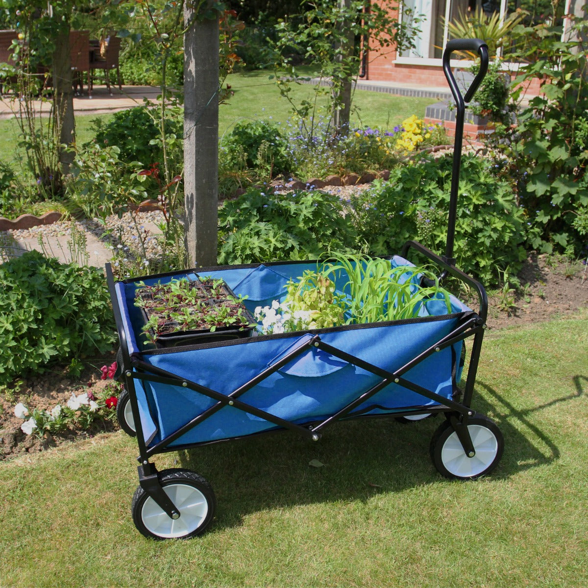 Faltbarer Gartenwagen in Blau mit stabilen schwarzen Rahmen, großen Rädern und bepflanztem Innenraum, ideal für Gartenarbeit und Transport