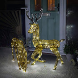 Zwei LED-beleuchtete Rentiere, ein 61 cm großes Reh und ein 1,2 m hoher Hirsch, aus goldfarbenem Draht mit funkelnden Lichtern vor einer Haustür