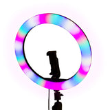 Bunte LED-Ringleuchte mit sanften Farbverläufen, montiert auf einem stabilen Stativ, ideal für 360 Grad Fotokabinen und kreative Aufnahmen