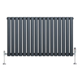 Gliederheizkörper in Anthrazitgrau mit TRV Chromventilen, 600mm x 1020mm, vertikale Lamellenstruktur, moderne und elegante Heizlösung für jeden Raum