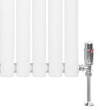 Weißer Gliederheizkörper mit TRV Chromventilen, 600mm x 1200mm, glänzende Oberfläche, moderne Form, ideal für effiziente Heizlösungen