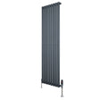 Gliederheizkörper in Anthrazitgrau, 1600mm x 480mm, mit TRV Chromventilen, schlankes Design und glatte Oberflächenstruktur für moderne Innenräume