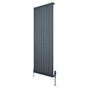Gliederheizkörper in Anthrazitgrau mit TRV Chromventilen, 1600mm x 600mm, schlankes, modernes Design und glatte Oberflächenstruktur