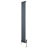 Eleganter, anthrazitgrauer Gliederheizkörper mit TRV Chromventilen, 1800mm hoch und 240mm breit, bietet modernes Design und effiziente Wärmeabgabe