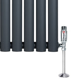 Gliederheizkörper in Anthrazitgrau mit TRV Chromventilen, 1800mm x 240mm, zeigt eine moderne, elegante Form und glatte, matte Oberfläche