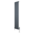 Eleganter Gliederheizkörper in Anthrazitgrau, 1800mm x 360mm, mit glänzenden Chromventilen, schlankes Design und glatte Oberflächen für moderne Innenräume