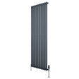 Gliederheizkörper in Anthrazitgrau mit TRV Chromventilen, 1800mm x 600mm, vertikale Lamellenstruktur und moderne, elegante Form