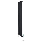 Schwarzer Flachheizkörper mit vertikalen Lamellen, 1800mm x 420mm, ausgestattet mit modernen Ventilen und stabilen Standfüßen