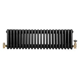 Schwarzer Röhrenheizkörper mit 4 Säulen und TRV Chromventilen, 300mm x 1010mm, glänzende Oberfläche und elegante Form