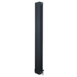 Röhrenheizkörper 4 Säulen mit TRV Chromventile – 1800mm x 200mm – Anthrazitgrau