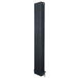 Röhrenheizkörper 4 Säulen mit TRV Chromventile – 1800mm x 290mm – Anthrazitgrau