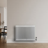 Röhrenheizkörper mit 4 Säulen in Weiß, 600mm x 785mm, glänzende Oberfläche, modern und elegant, ideal für Wohnräume und effiziente Wärmeverteilung