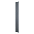 Eleganter Gliederheizkörper in Anthrazitgrau, 1800mm x 240mm, mit glatten, vertikalen Lamellen und modernem Design für stilvolle Heizlösungen