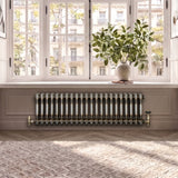 Klassischer 2-Säulen-Heizkörper – 300 x 1010 mm - Rohmetall - view 12