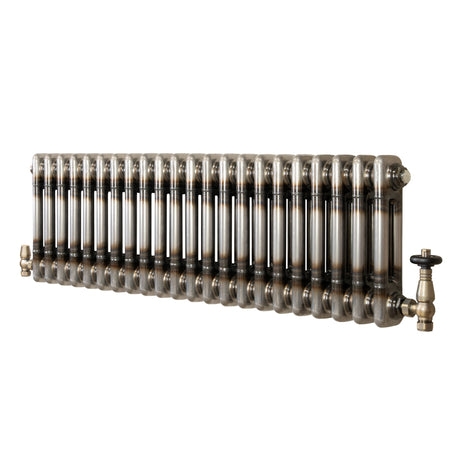 Klassischer 2-Säulen-Heizkörper mit TRV – 300 x 1010 mm - Rohmetall