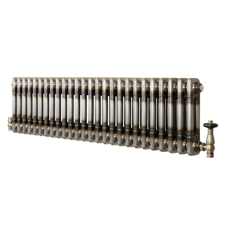 Klassischer 2-Säulen-Heizkörper mit TRV – 300 x 1190 mm - Rohmetall