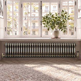 Klassischer 2-Säulen-Heizkörper mit TRV – 300 x 1460 mm - Rohmetall