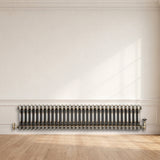 Klassischer 2-Säulen-Heizkörper mit TRV – 300 x 1460 mm - Rohmetall - view 4