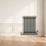 Klassischer 2-Säulen-Heizkörper mit TRV – 600 x 425 mm - Rohmetall - view 4