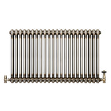 Klassischer 2-Säulen-Heizkörper mit TRV – 600 x 1010 mm - Rohmetall