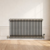 Klassischer 2-Säulen-Heizkörper mit TRV – 600 x 1010 mm - Rohmetall