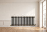 Klassischer 2-Säulen-Heizkörper mit TRV – 600 x 1460 mm - Rohmetall - view 4
