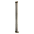 Klassischer 2-Säulen-Heizkörper mit TRV – 1800 x 200 mm - Rohmetall