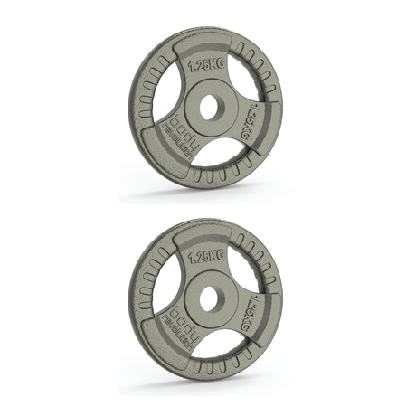 Zwei Gusseisen-Gewichtsscheiben à 1,25 kg in grauer Farbe mit Tri-Griff, ideal für Standard-Hantelstangen mit 1-Zoll-Durchmesser