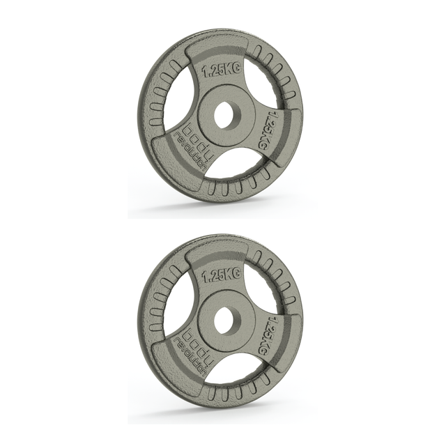 Zwei Gusseisen-Gewichtsscheiben à 1,25 kg in grauer Farbe mit Tri-Griff, ideal für Standard-Hantelstangen mit 1-Zoll-Durchmesser