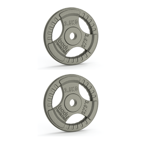Zwei 2,5-kg-Gusseisenscheiben mit Standard-Dreifachgriff, grau, robust, mit präzisen Gewichtsinformationen und rutschfestem Design