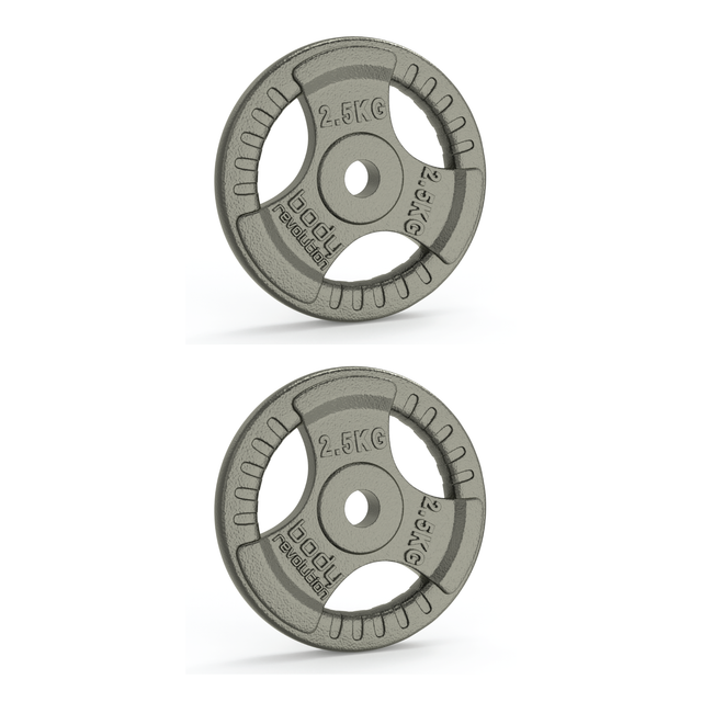 Zwei 2,5-kg-Gusseisenscheiben mit Standard-Dreifachgriff, grau, robust, mit präzisen Gewichtsinformationen und rutschfestem Design