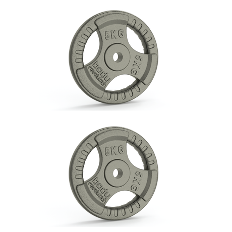 Zwei 5 kg Gusseisen-Gewichtsscheiben mit 1-Zoll-Standard und Dreifach-Griff, robust, graue Farbe, runde Form, ideal für Krafttraining