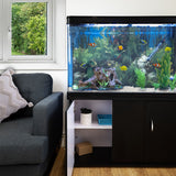 Schwarzes 300 Liter Aquarium mit bunten Fischen, lebendigen Pflanzen, weißem Kies und einem Holzstück, neben einem grauen Sofa und einem Fenster mit Ausblick auf den Garten