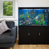 Aquarium Starter Komplettset mit bunten Fischen, grünem Pflanzenbewuchs und natürlichem Kies, platziert neben einem grauen Sofa und einem Fenster