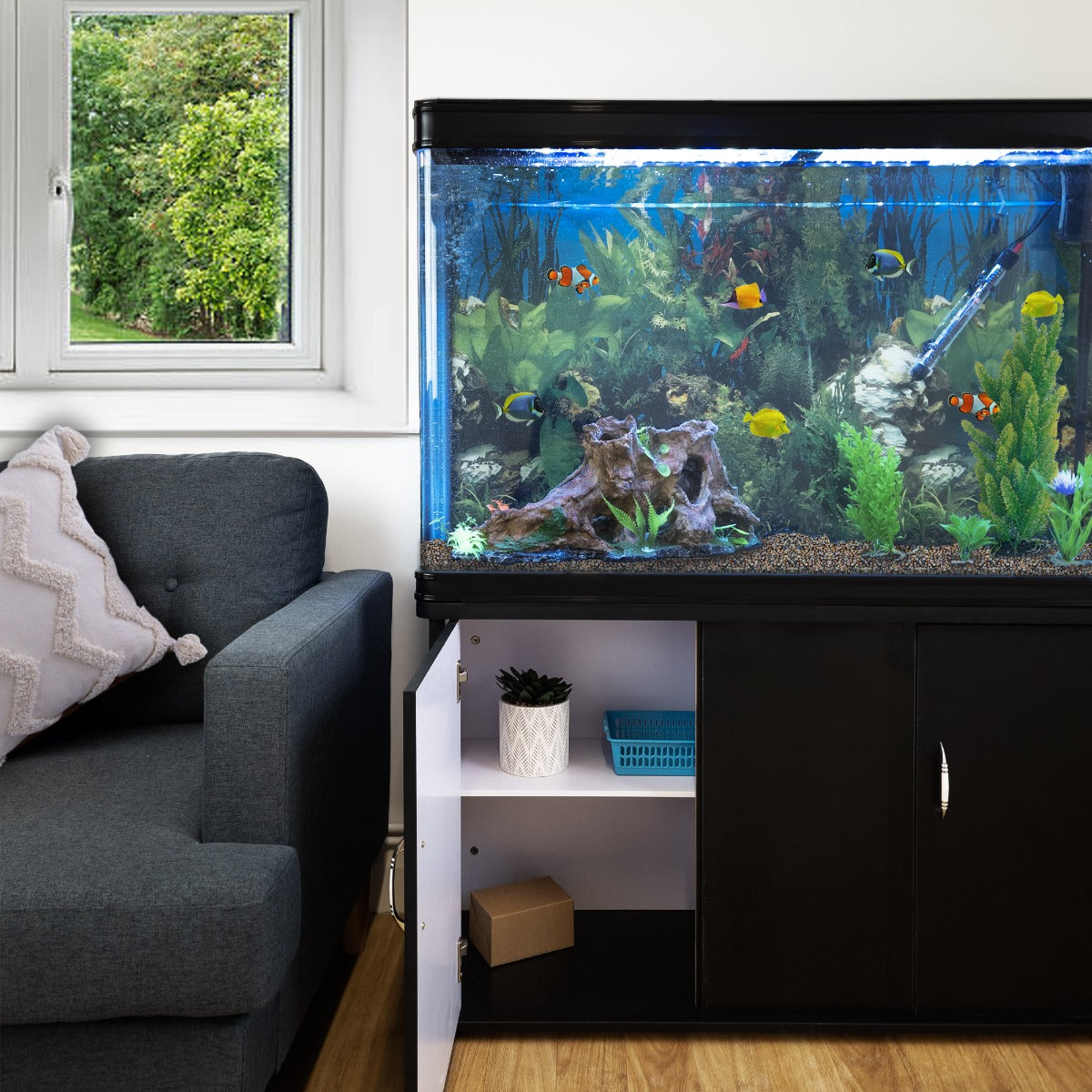 Aquarium Starter Komplettset mit bunten Fischen, lebendigen Pflanzen und natürlichem Kies, platziert neben einem gemütlichen Sofa und Fenster mit Blick ins Freie