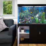 Aquarium Starter Komplettset mit bunten Fischen, lebendigen Pflanzen und natürlichem Kies, platziert neben einem gemütlichen Sofa und Fenster mit Blick ins Freie