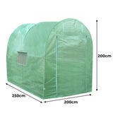 Transparenter Polytunnel in grün, 2,5 m lang und 2 m hoch, mit gewölbtem Dach und seitlichen Belüftungsfenstern, ideal für Pflanzenzucht